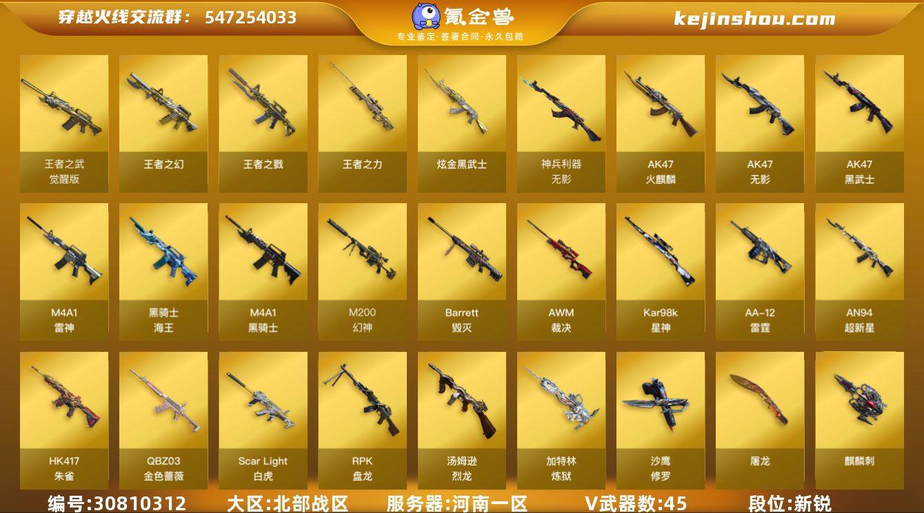 河南一区-48V-4王者-1炫金
【热门武...