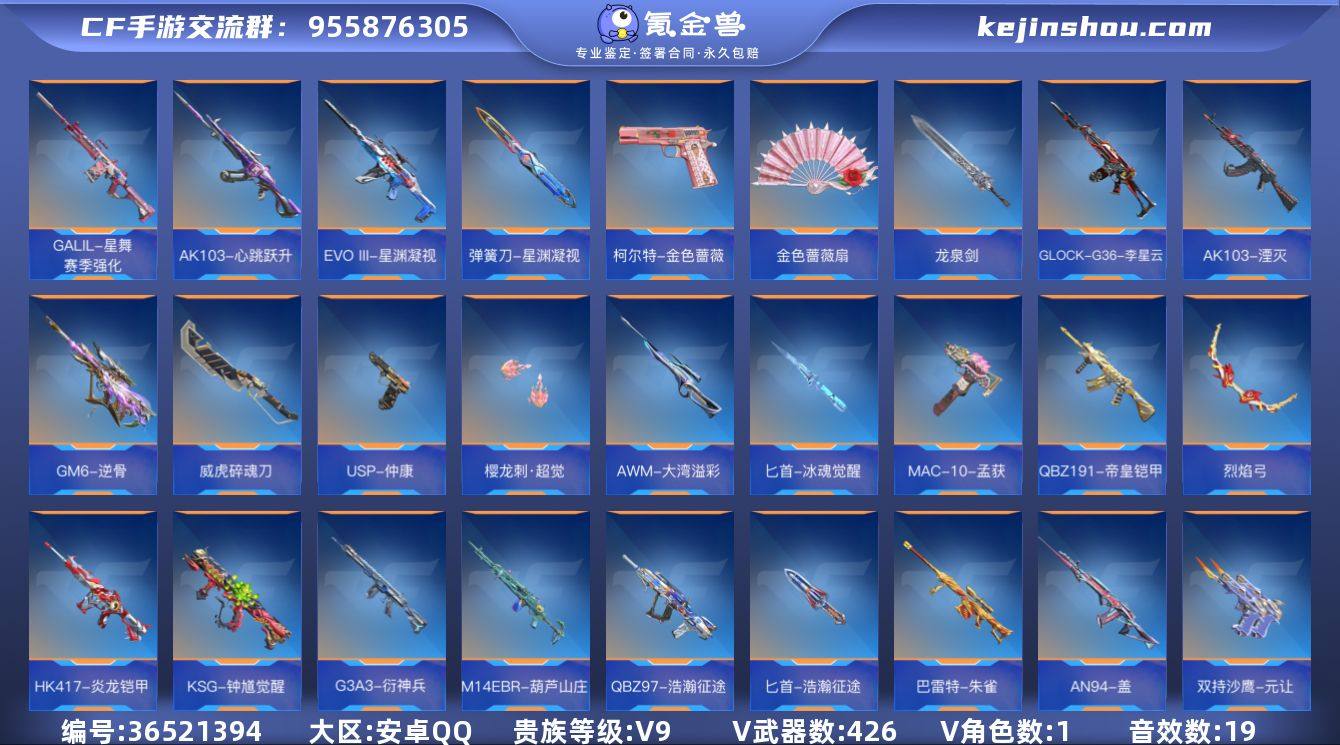 实名: 可修改 贵族等级: V9 v武器:...