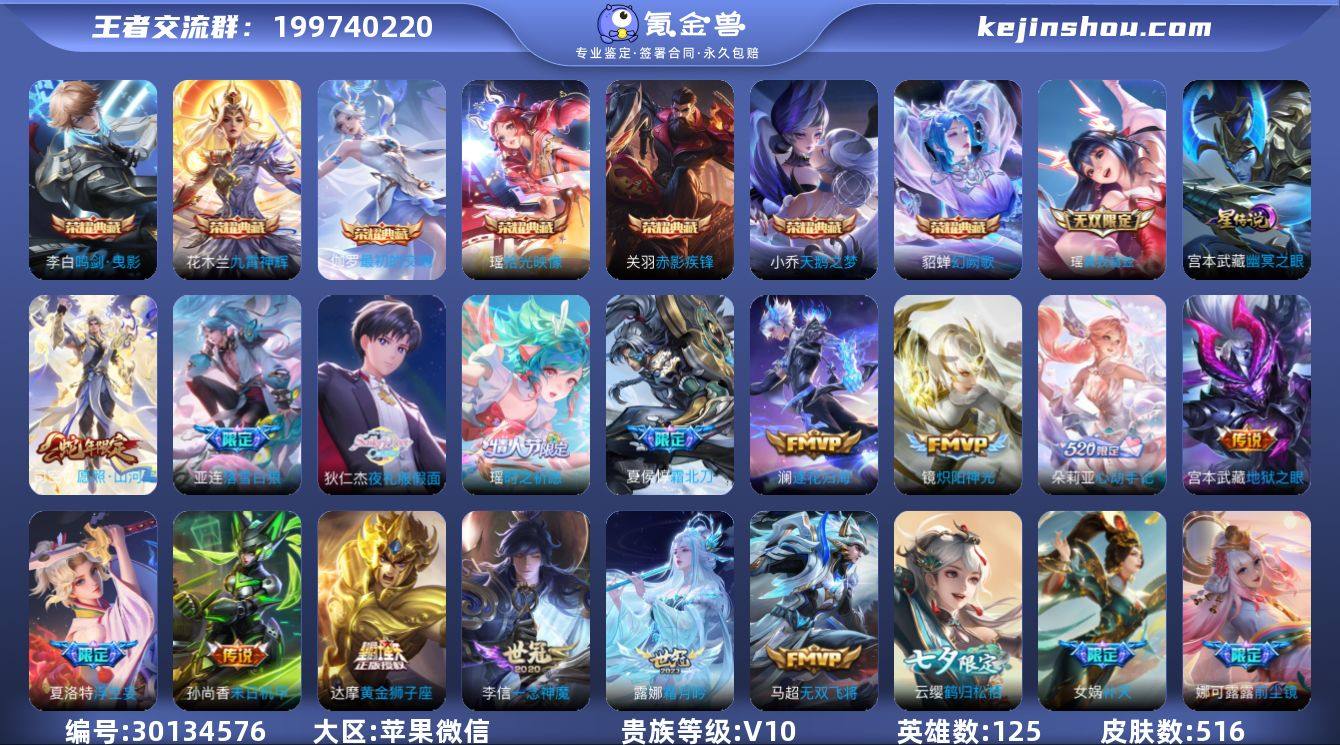 V10【56传说 瑶无双皮肤 7典藏 小国...