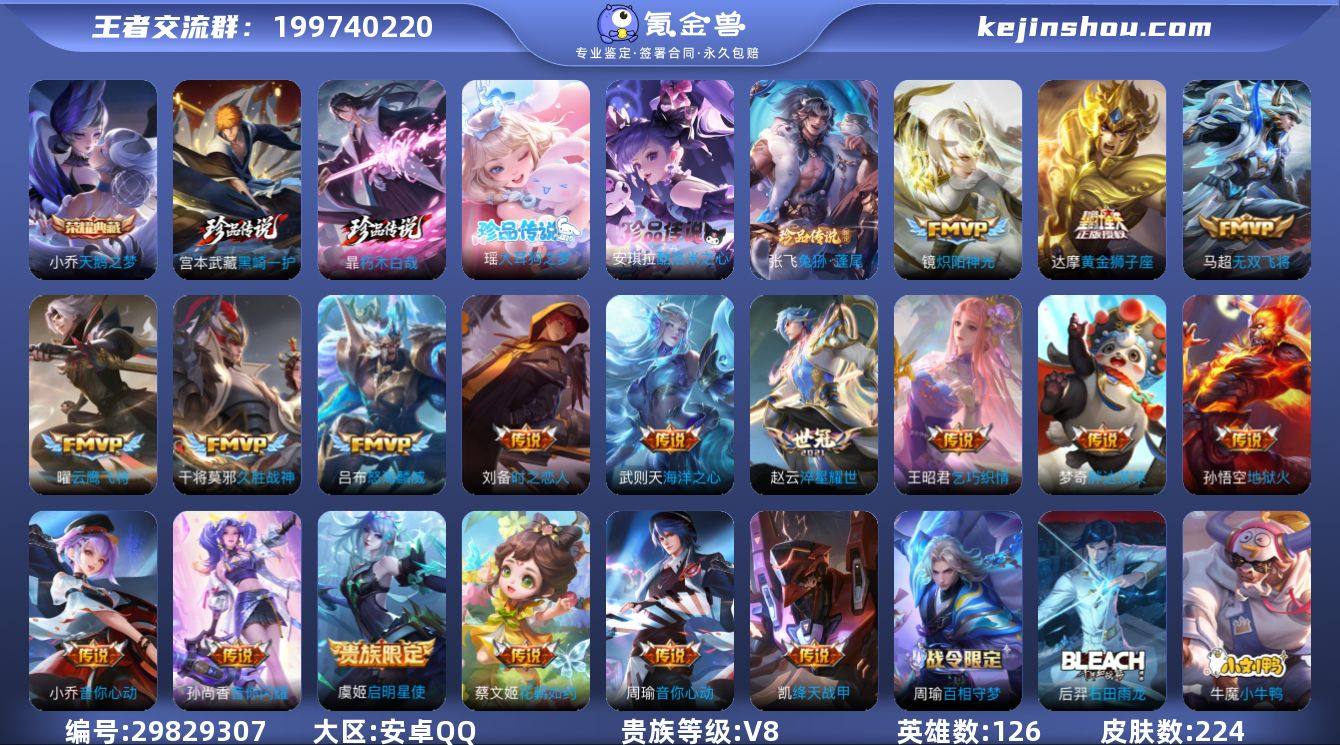 贵族8-改名卡12灵宝改名卡0-全皮英雄2...