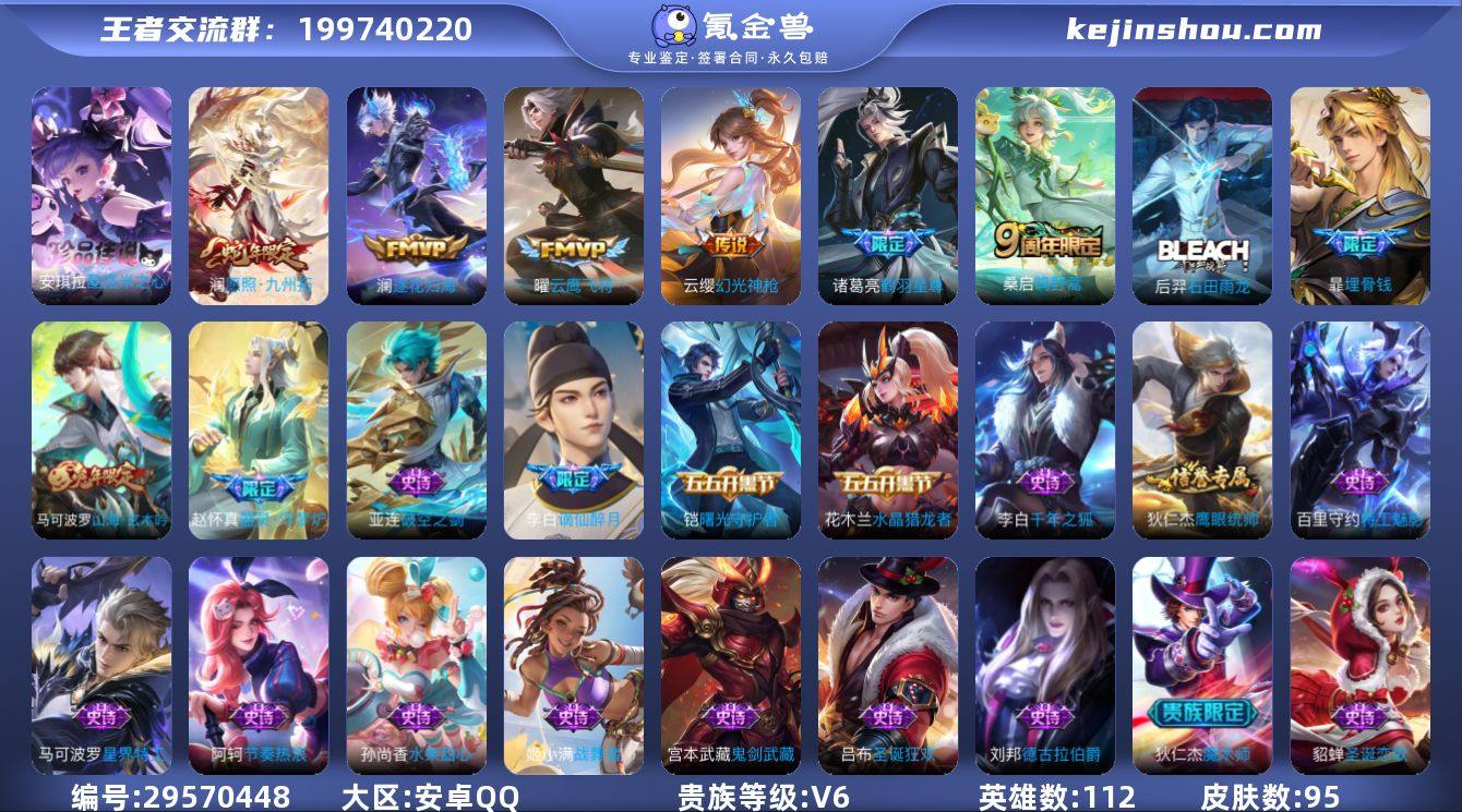 【特价出售】安卓q-V-95皮肤1珍品传说...