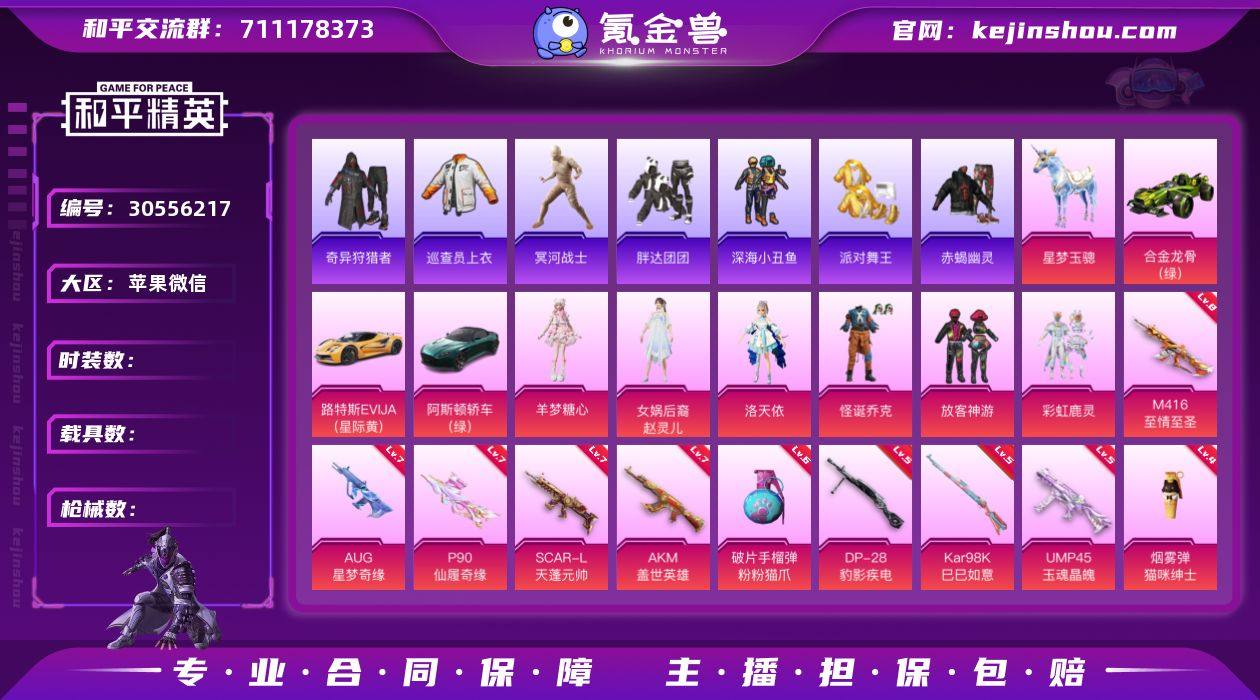 编号63249  果V可改，32印记，木乃...