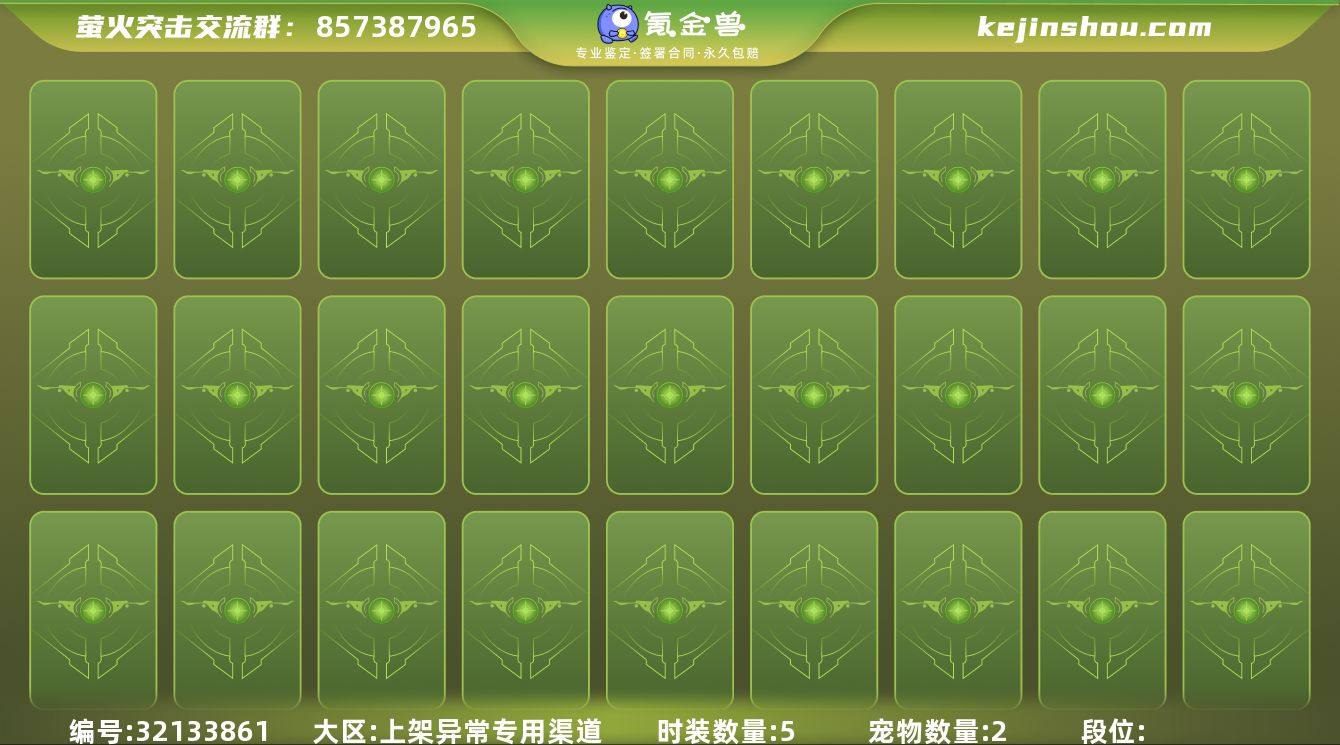 时装数:5 宠物数量:2 玄冥，爱丽丝 卖...