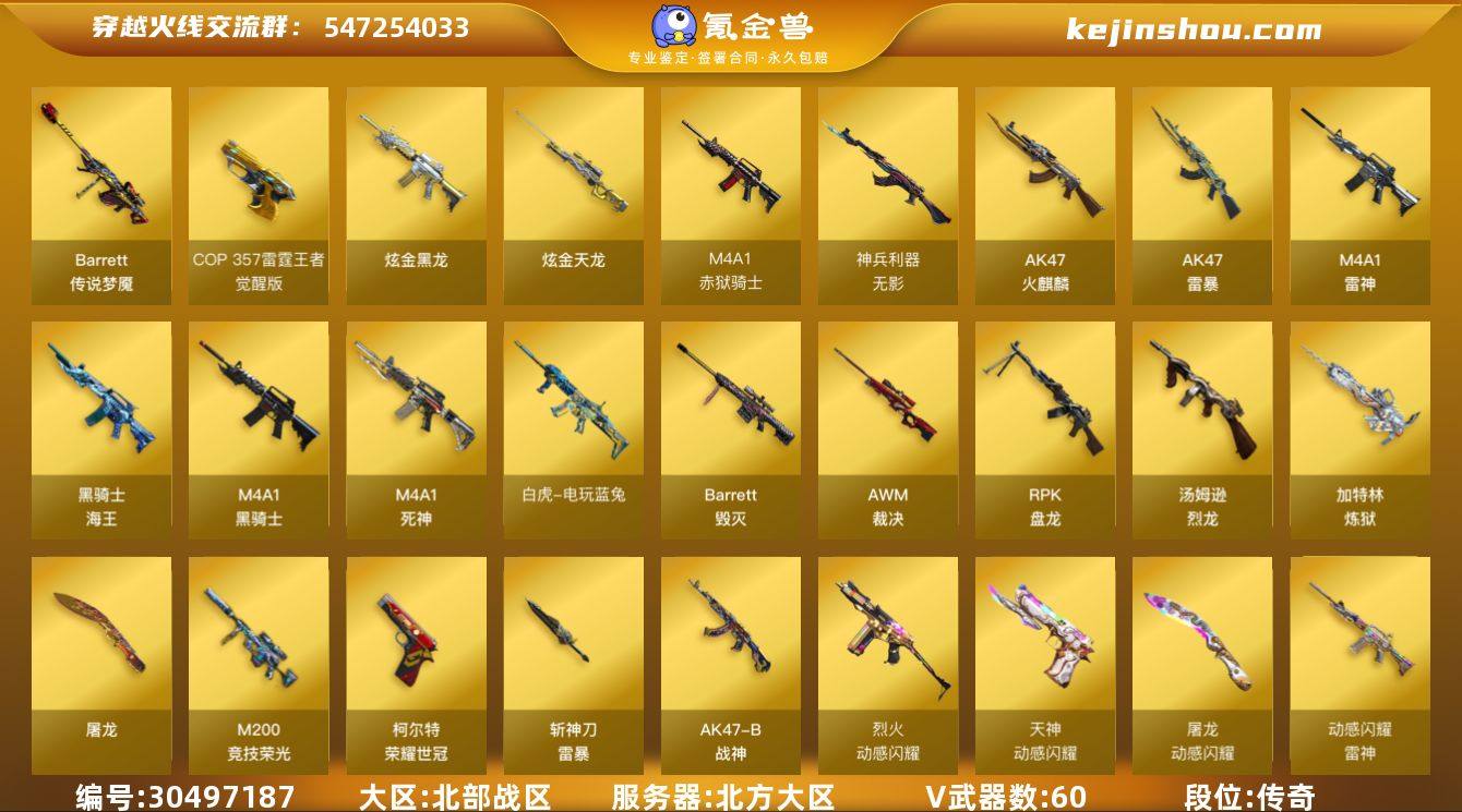 北方大区-62V-1王者-2炫金
【传说武...