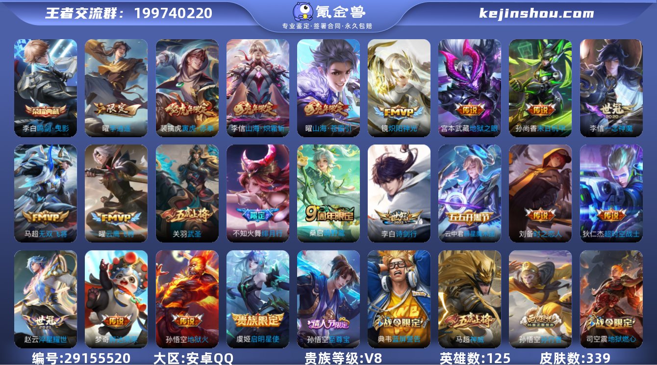 gz41王者V8《124英雄 339皮肤...