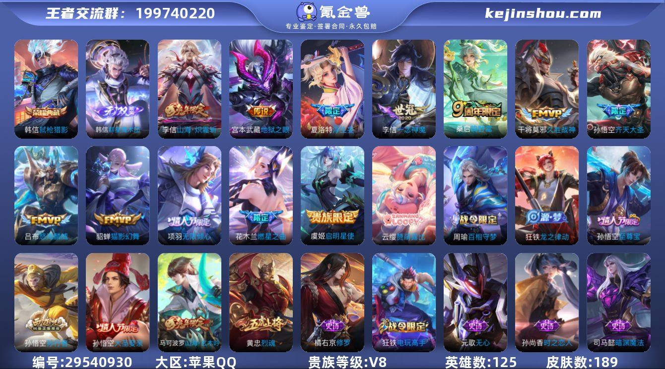 V8 1典藏 1无双 15传说 189皮肤...