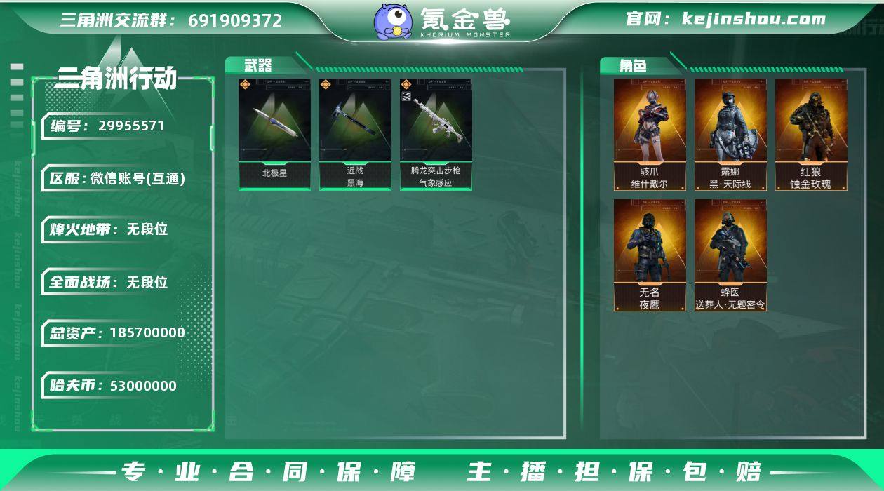 SZ6317,微信区,哈夫币5300W,总...