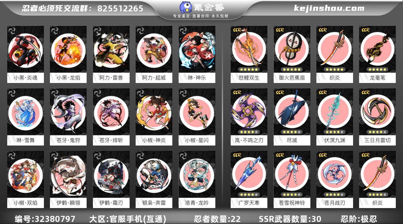 忍阶:极忍 忍者数量:22 一命阿力·超威...