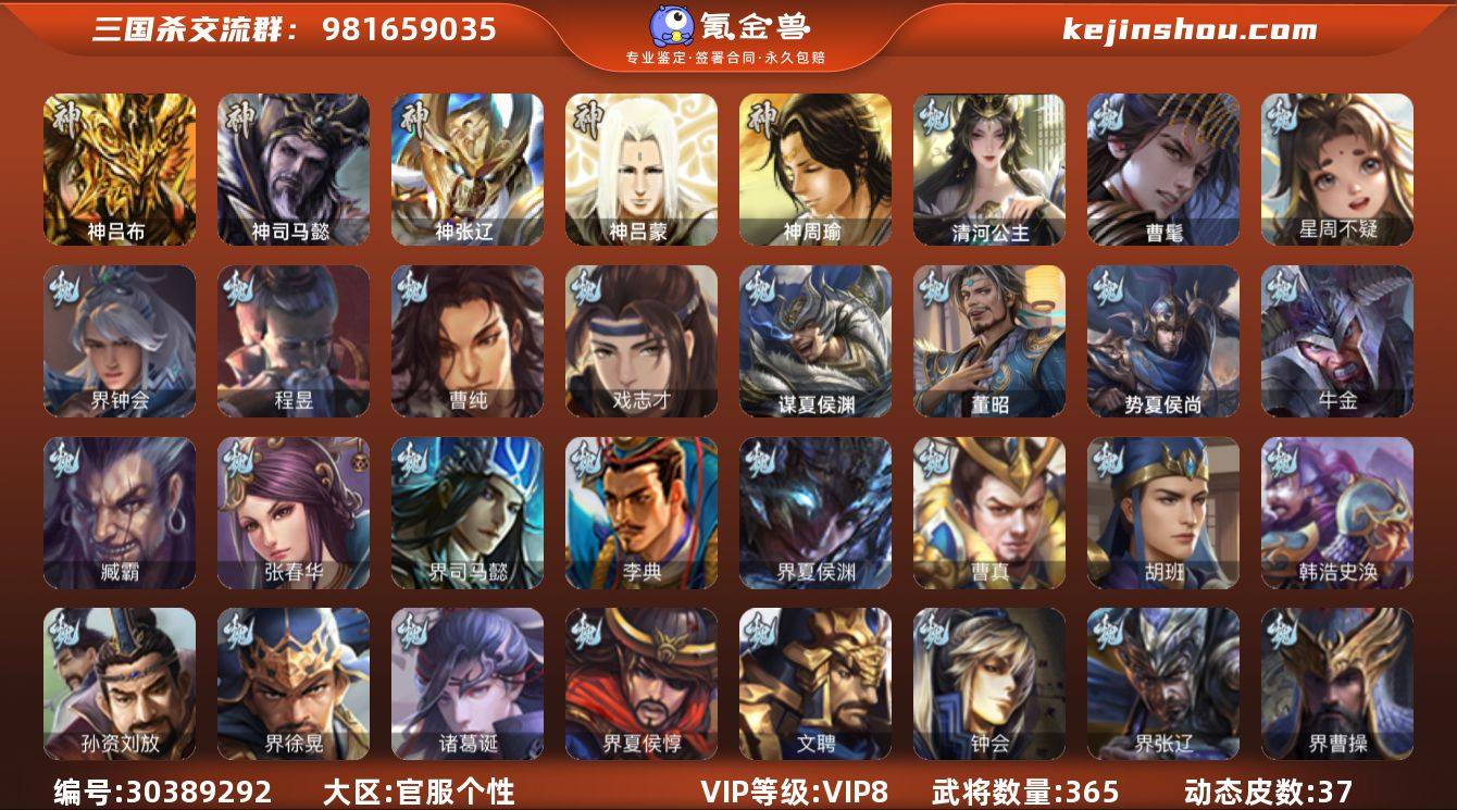 官阶:大将军；VIP等级:VIP8；史诗武...