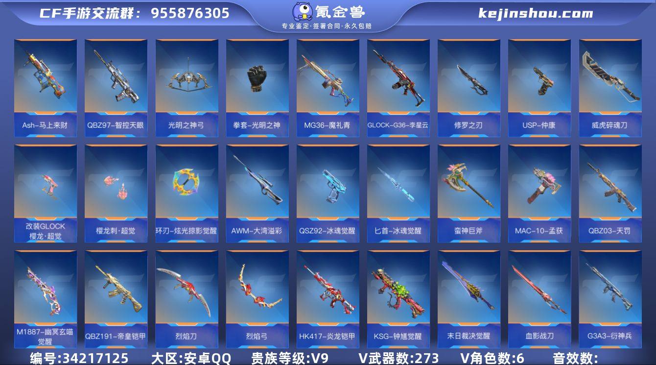 实名: 不可修改 贵族等级: V9 v武器...
