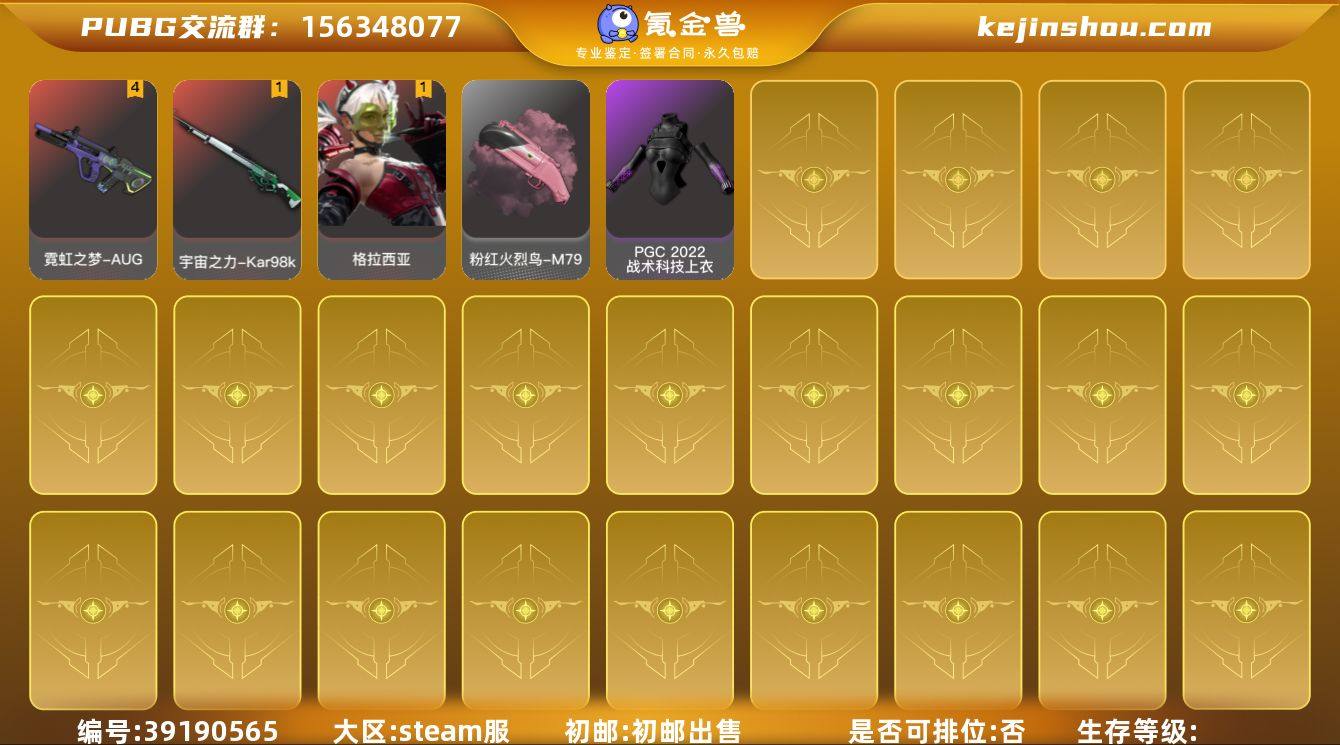 段位:未定级 4级霓虹之梦-AUG，1级宇...