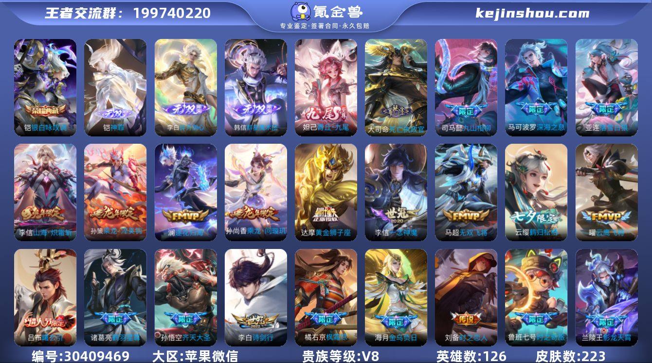 苹果WX-金标孙权 223皮肤 1典藏 4...