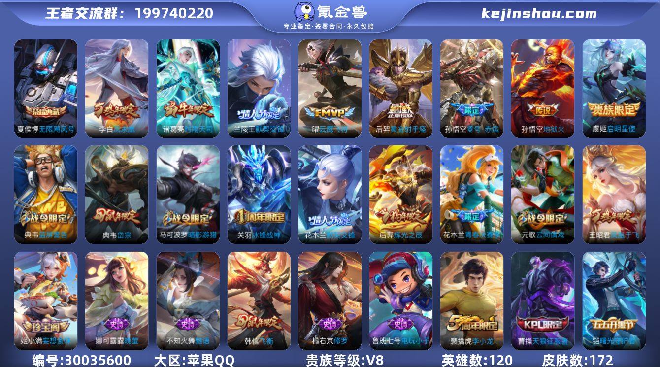 V8 1典藏 9传说 120英雄 172皮...