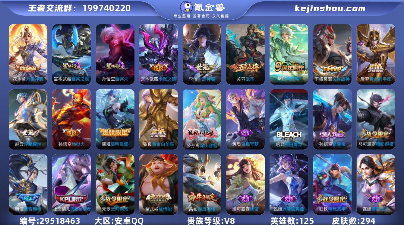 V8 1典藏 10传说 2星元 294皮肤...