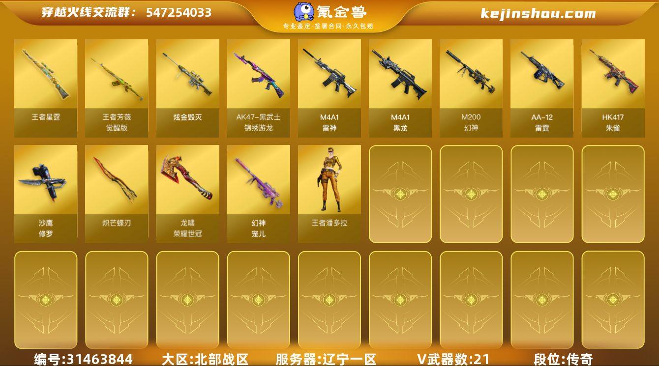 辽宁一区-22V-2王者武器数-1炫金武器...