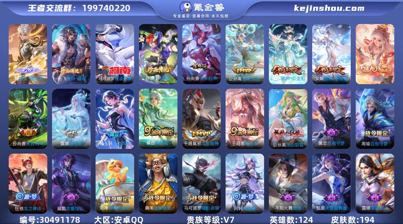 194皮肤  王者印记13 万战杨玉环 游...