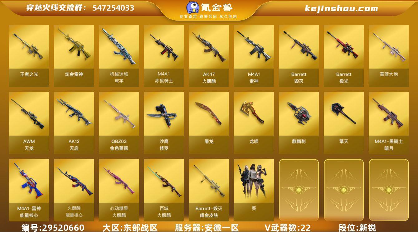 段位:新锐 VIP等级:VIP3 V武器数...