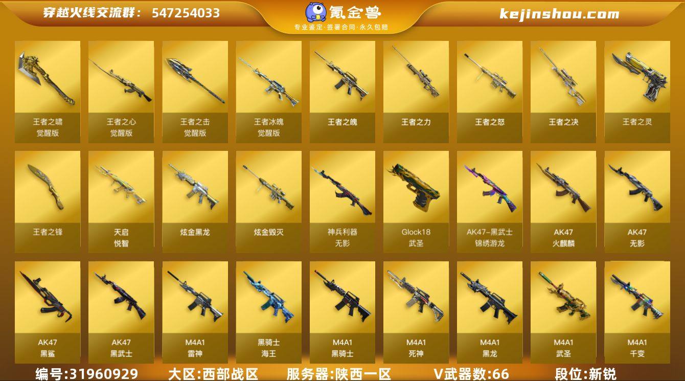 陕西一区-74V-12王者武器数-2炫金武...