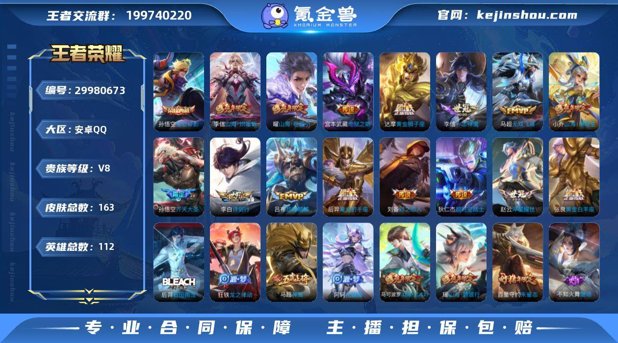 1市标/全息碎影,无双飞将,山海·苍雷引,...