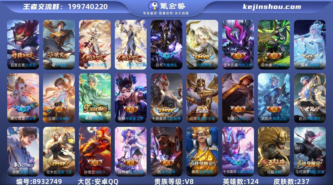 ZMW1025【237皮肤1典藏24传说V...