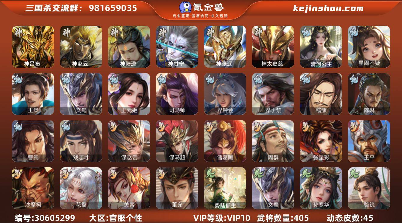 官阶:大将军；VIP等级:VIP10；史诗...