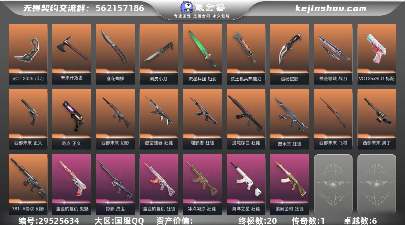 【套装】:2025全球冠军赛套装,VCT ...