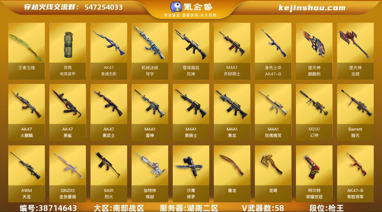 湖南二区-61V-2王者武器数-0炫金武器...
