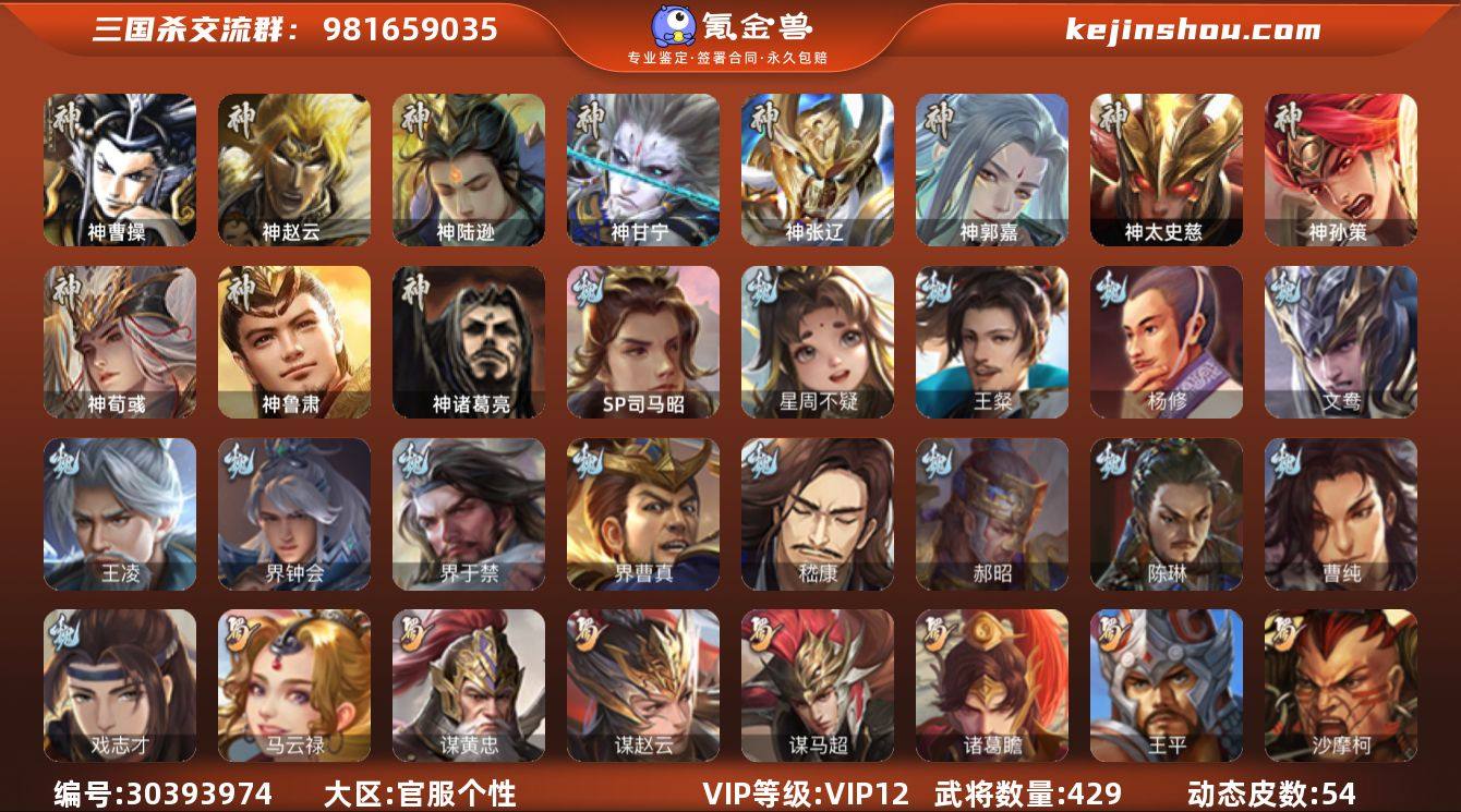 官阶:大将军；VIP等级:VIP12；史诗...