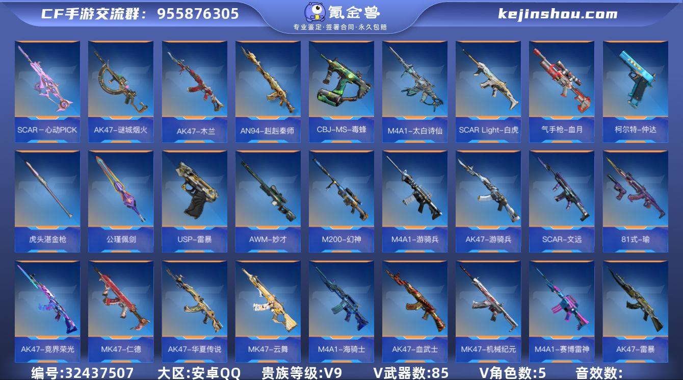 x2170  VIP9级，魄至尊，心至尊，...