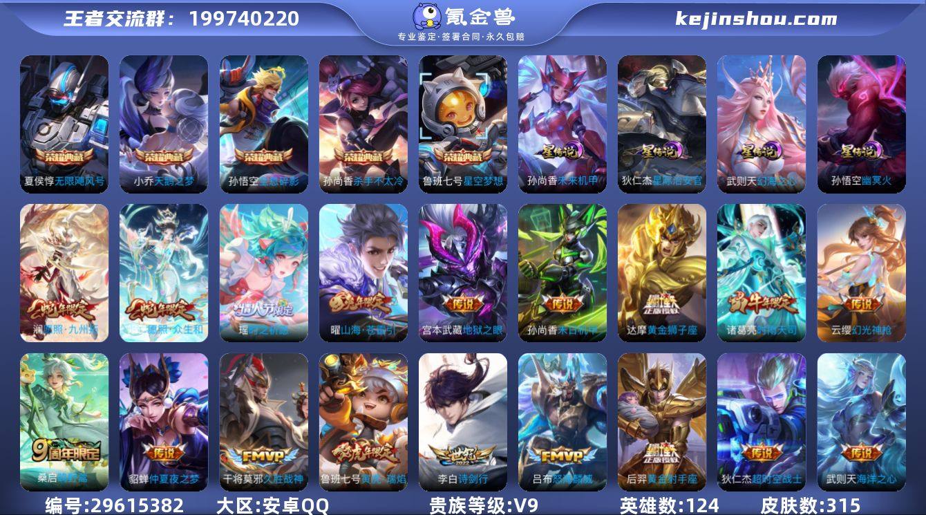 V9 6典藏 24传说 4星元 315皮肤...