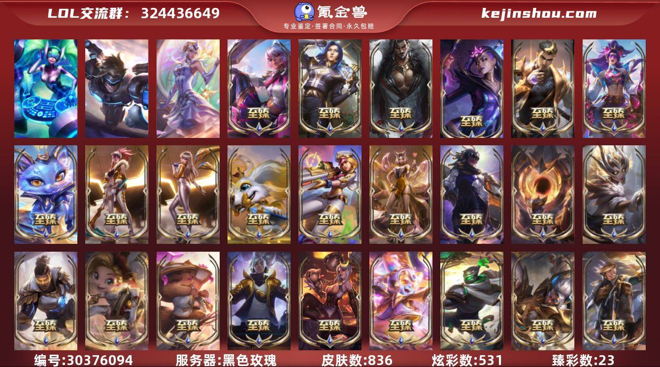 皮肤数:836 炫彩数:531 臻彩皮肤总...