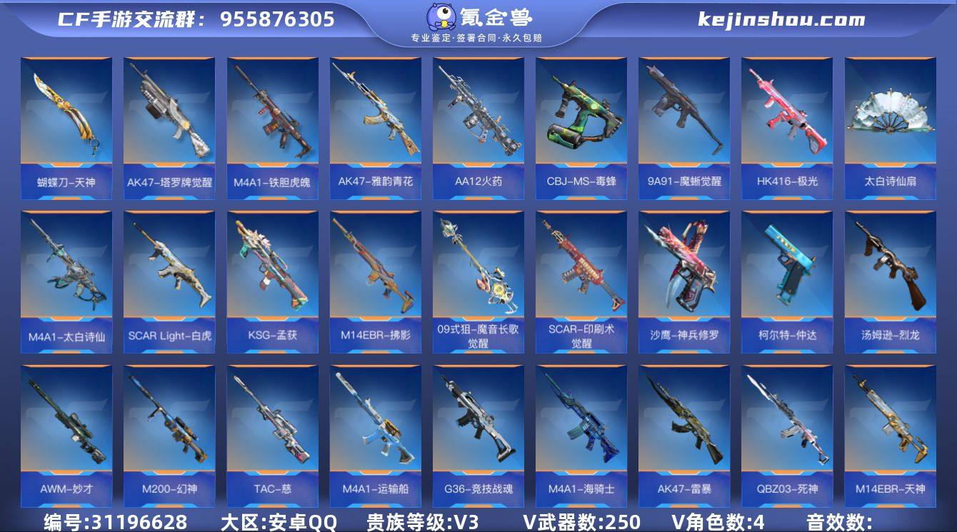 【QZZ2411】VIP3/250V/王者...