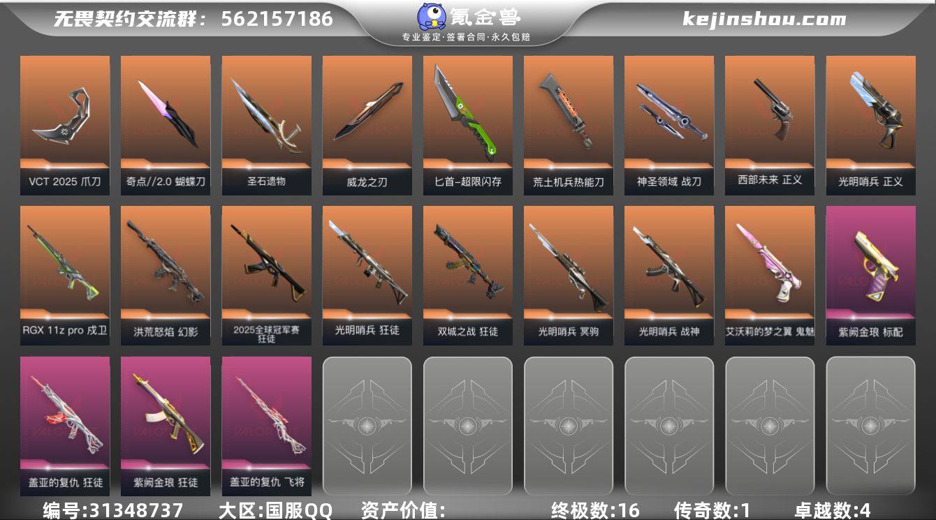 【套装】：VCT 2025 赛季套装，光明...