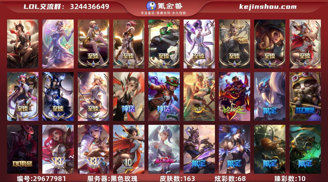 皮肤数:163 炫彩数:68 臻彩皮肤总数...