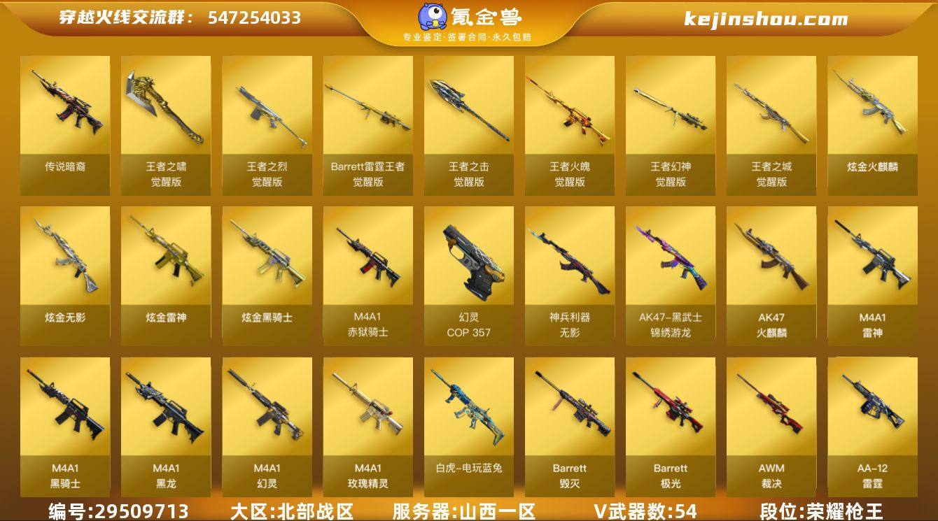 山西一区-57V-14王者-4炫金
【传说...