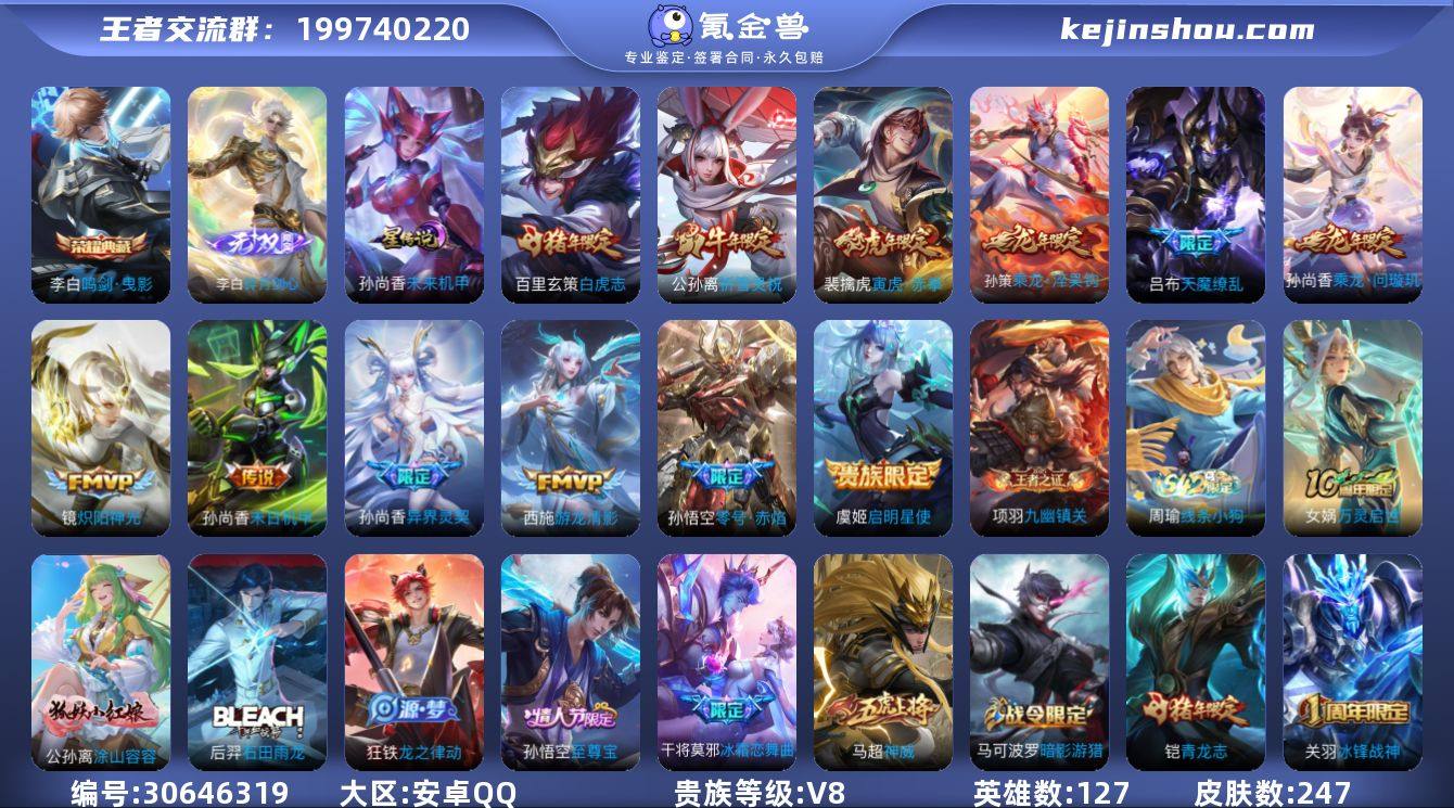 127英雄-247皮肤--V8-1典藏1无...