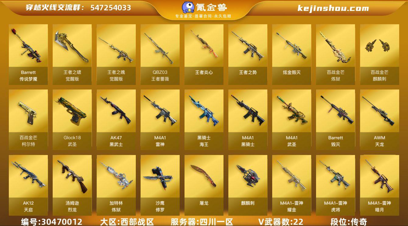 四川一区-23V-5王者-1炫金
【传说武...