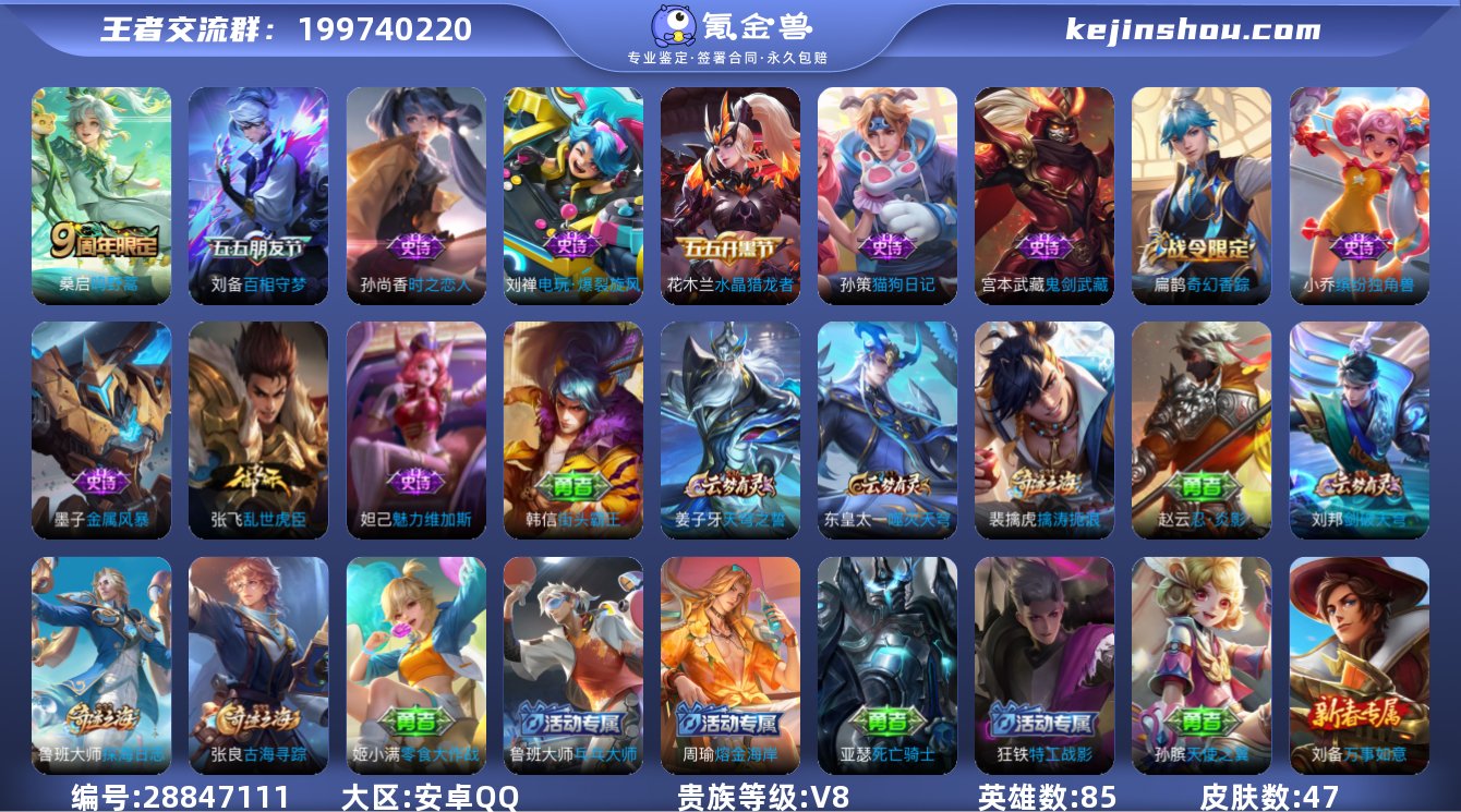 85英雄-47皮肤-安卓QQ/V8/尊贵铂...