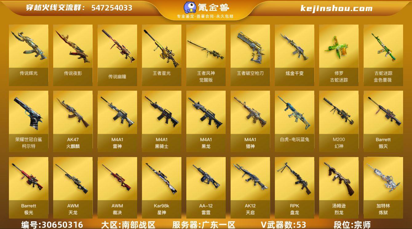 广东一区-57V-4王者-1炫金
【传说武...