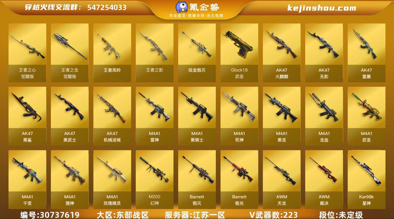 江苏一区-230V-22王者-1炫金
【热...