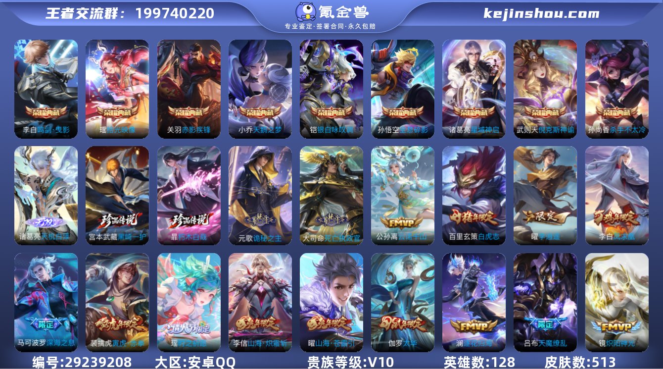 【513皮9典藏1无双75传说极品V10号...