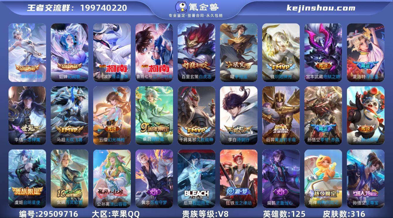 125英雄-316皮肤-V8 2典藏 2珍...