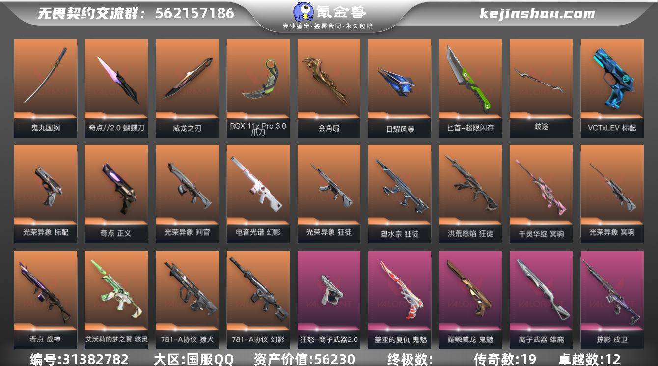 传奇数:19 卓越数:12 皮肤资产价值:...