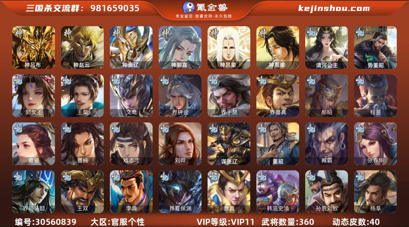 官阶:大将军;VIP等级:VIP11;史诗...