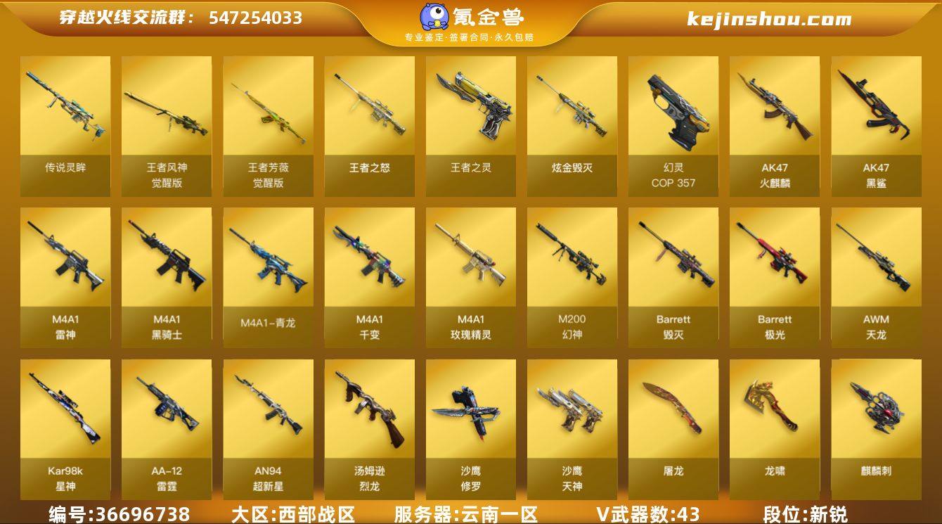 云南一区-48V-4王者武器数-1炫金武器...