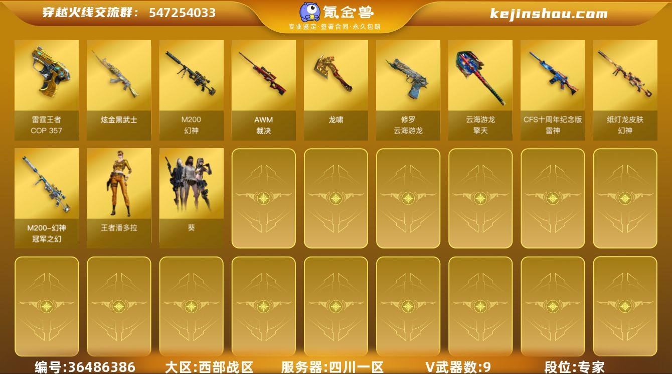 四川一区-10V-1王者武器数-1炫金武器...