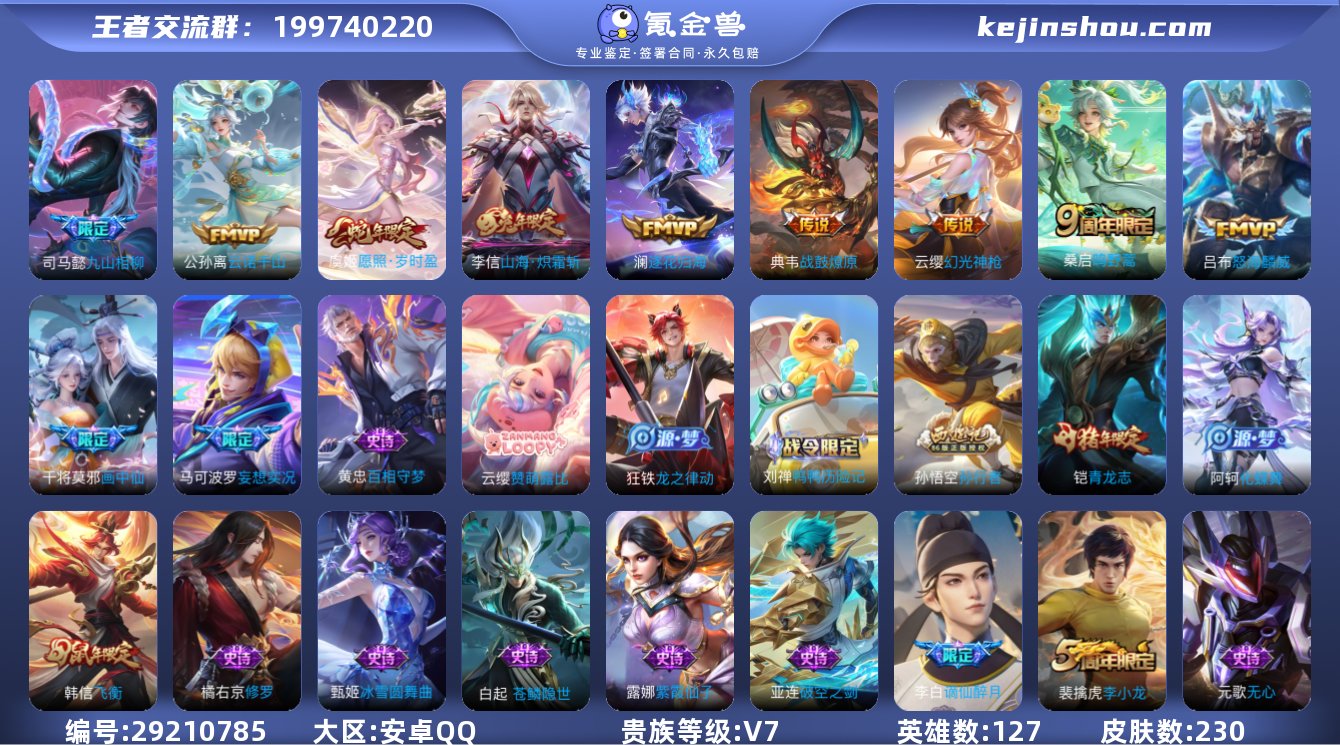 230皮肤11传说【传说】战鼓燎原 逐花归...