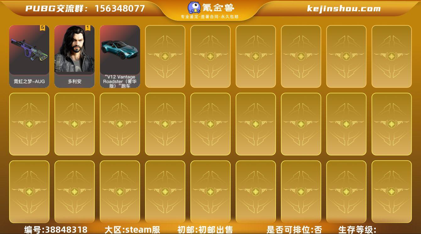 段位:未定级 5级霓虹之梦-AUG 马丁奢...