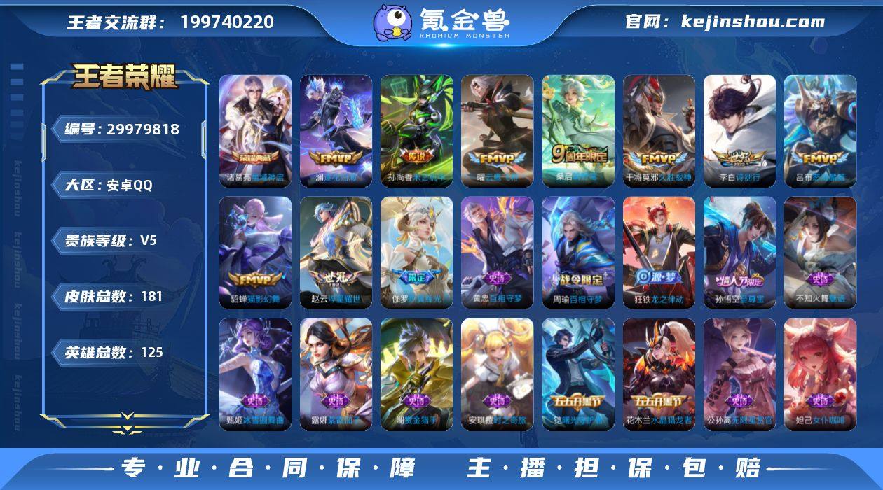 贵族5/皮肤181/典藏1/传说10/史诗...