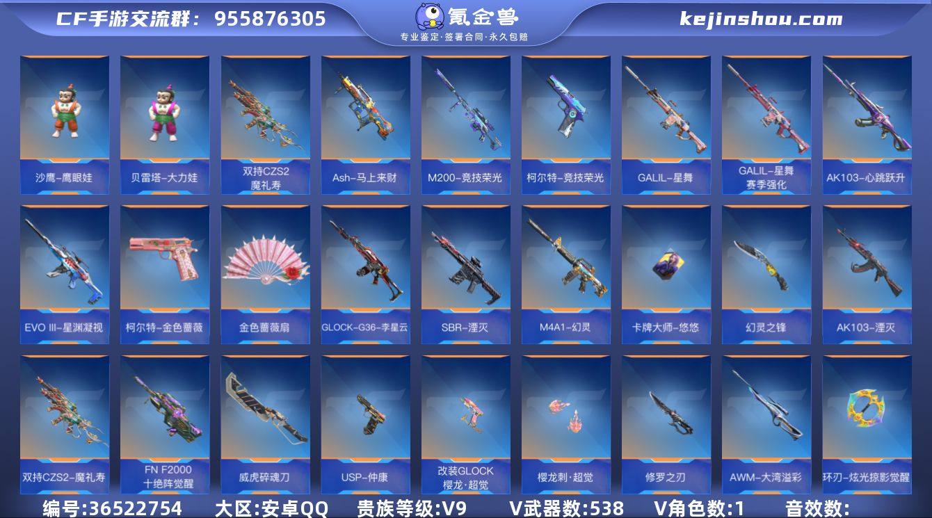 实名: 可修改 贵族等级: V9 v武器:...